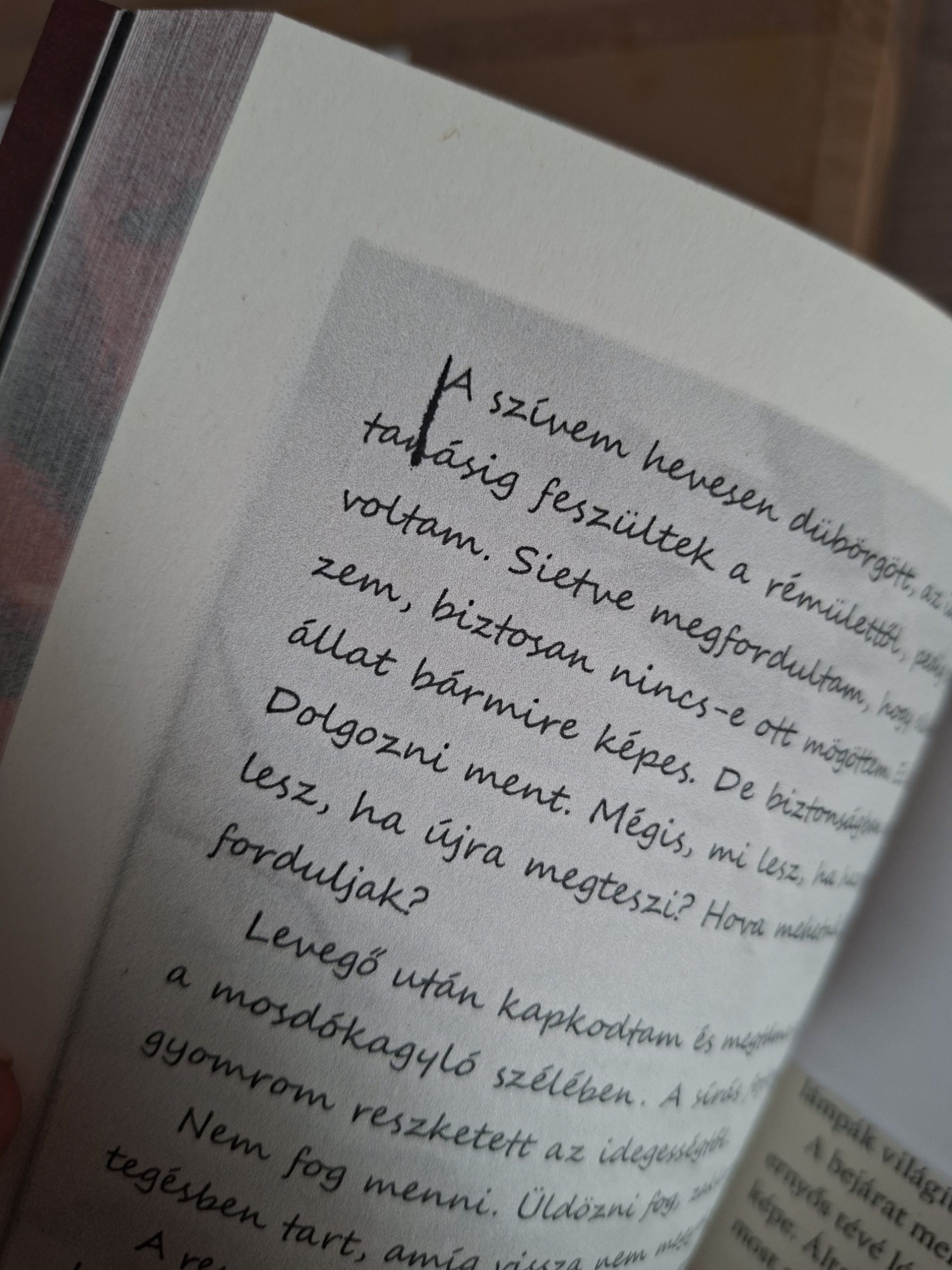 Hibás / félre dedikált példányok - Image 7