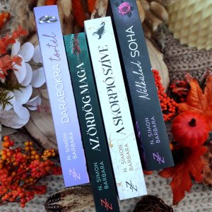 NSB Big Book box